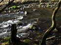 2014-03-09,_Polenztal (11)